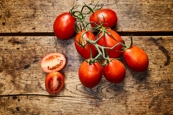 Strauchtomaten Bio