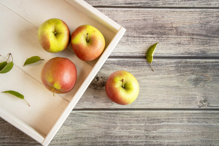 Apfel Delbarestivale
