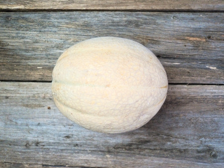 Bio Honigmelone