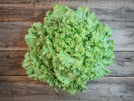 Bio Batavia Salat, grün