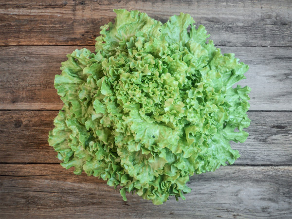Bio Batavia Salat, grün